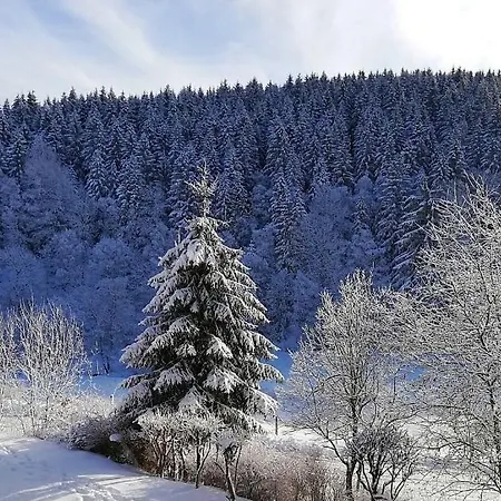 Apartament Buere Blick Mit Pool & Sauna Direkt Im Skigebiet Winterberg, Ski, Bike, Golf Winterberg