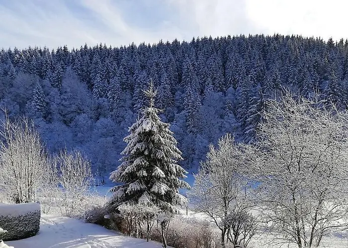 公寓 Buere Blick Mit Pool & Sauna Direkt Im Skigebiet Winterberg, Ski, Bike, Golf 温特贝格