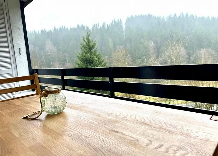 Appartement Buere Blick Mit Pool & Sauna Direkt Im Skigebiet Winterberg, Ski, Bike, Golf *